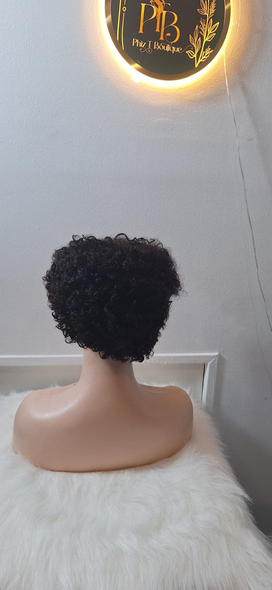 Inch Short Curly Wig